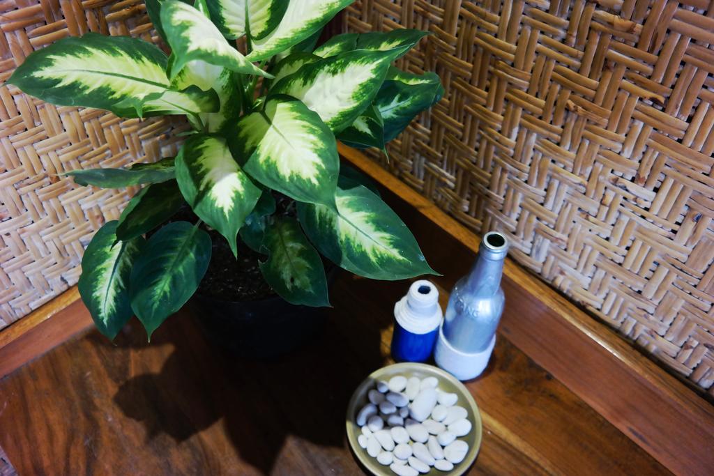 Tehila House Hotel Canggu  Ngoại thất bức ảnh